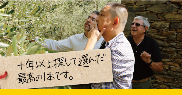 十年以上探して選んだオリーブオイル